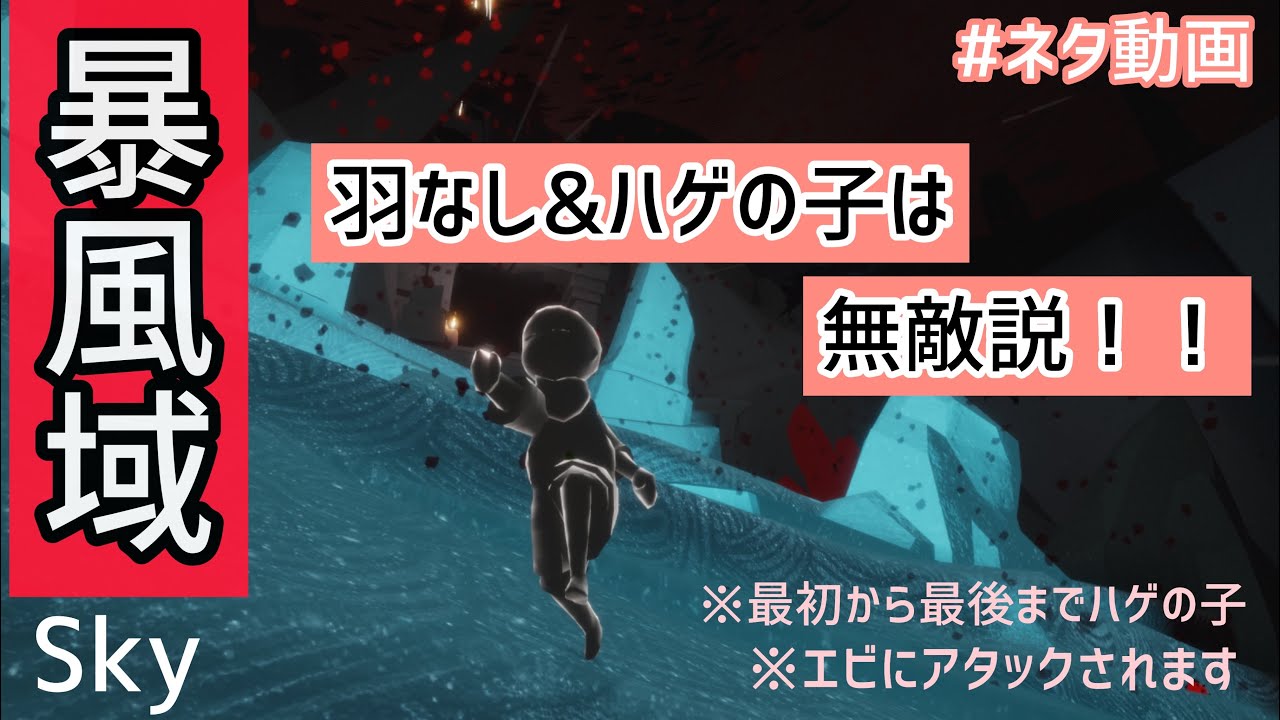 【Sky】羽なし&ハゲの子が暴風域に挑戦！【ネタ動画】