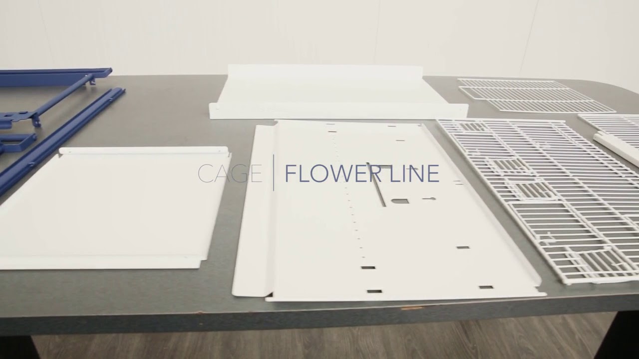 Italgabbie flowerline series