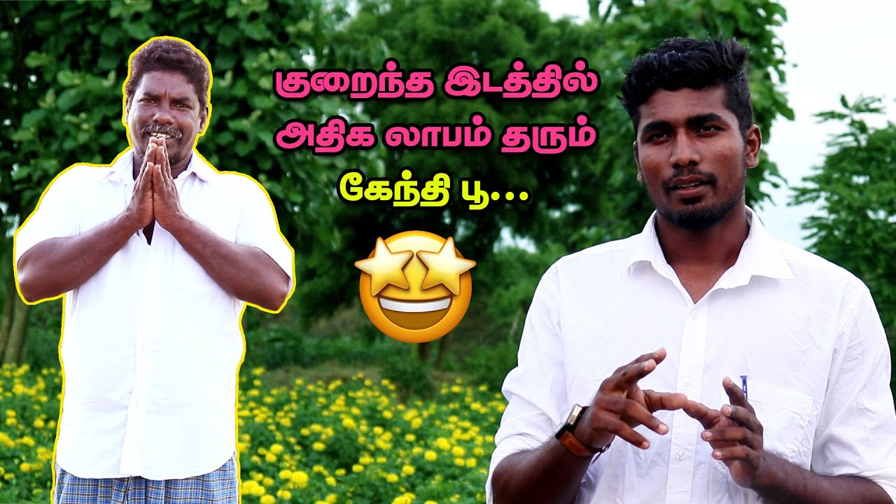3 மாதங்களில் 2 லட்சம் வருமானம் தரும் கேந்திப்(சாமந்தி) பூ.|Vivasayam Vithaipom|விவசாயம் விதைப்போம்|