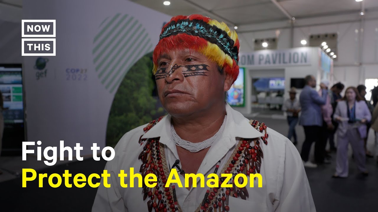 Indigenous Org Brings Protect the Amazon Proposal to COP27