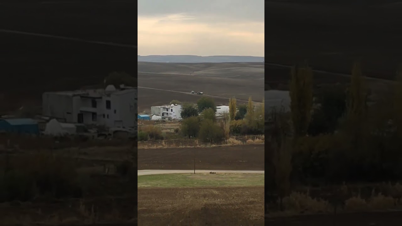 boşat mala şuro aşireti büyük bir ailedir