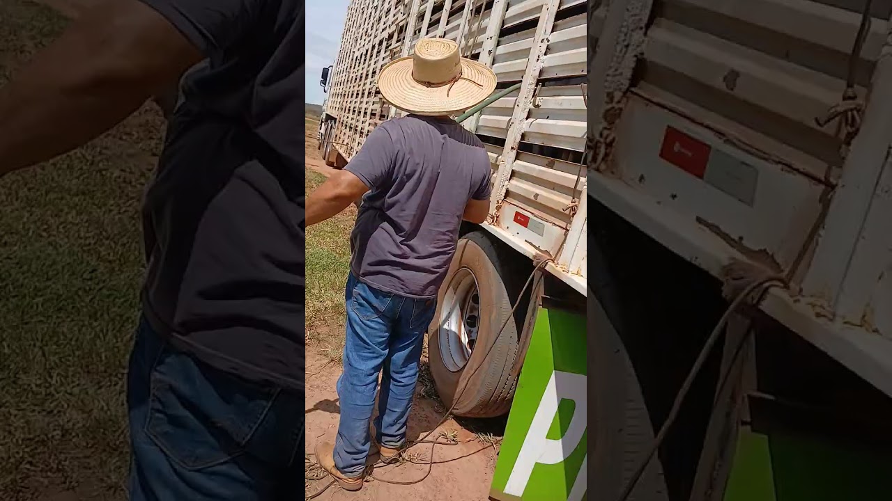 Bom dia 1 de 2026 na batida do pé rachado MT Brasil...