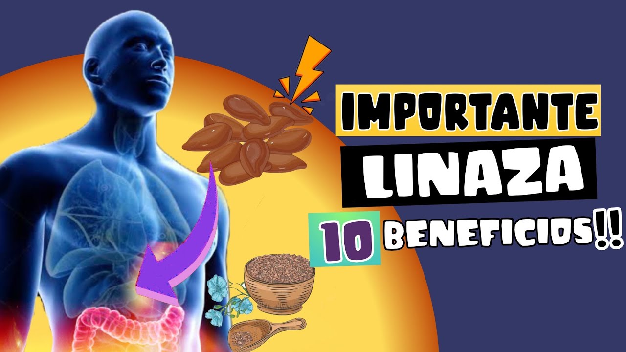 CIENTÍFICOS REVELAN 10 BENEFICIOS DE LA LINAZA , LA SEMILLA MILAGROSA