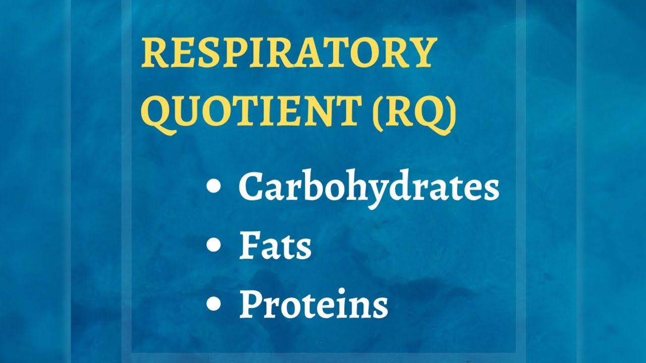 What is Respiratory Quotient | How to Calculate Respiratory Quotient for Carbohydrate, Protein & fat