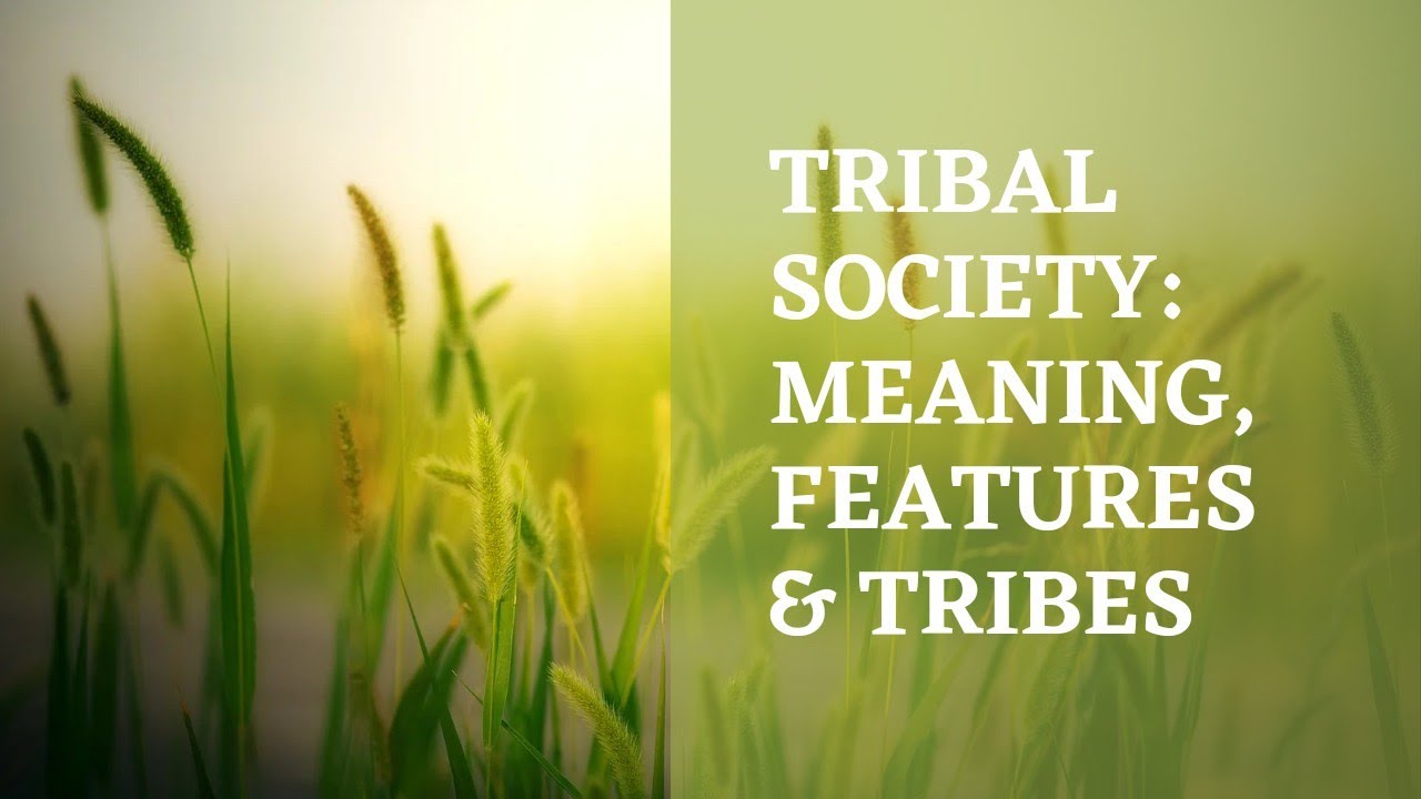 Tribal Society - meaning, features & tribes || BA Sociology Semester 5