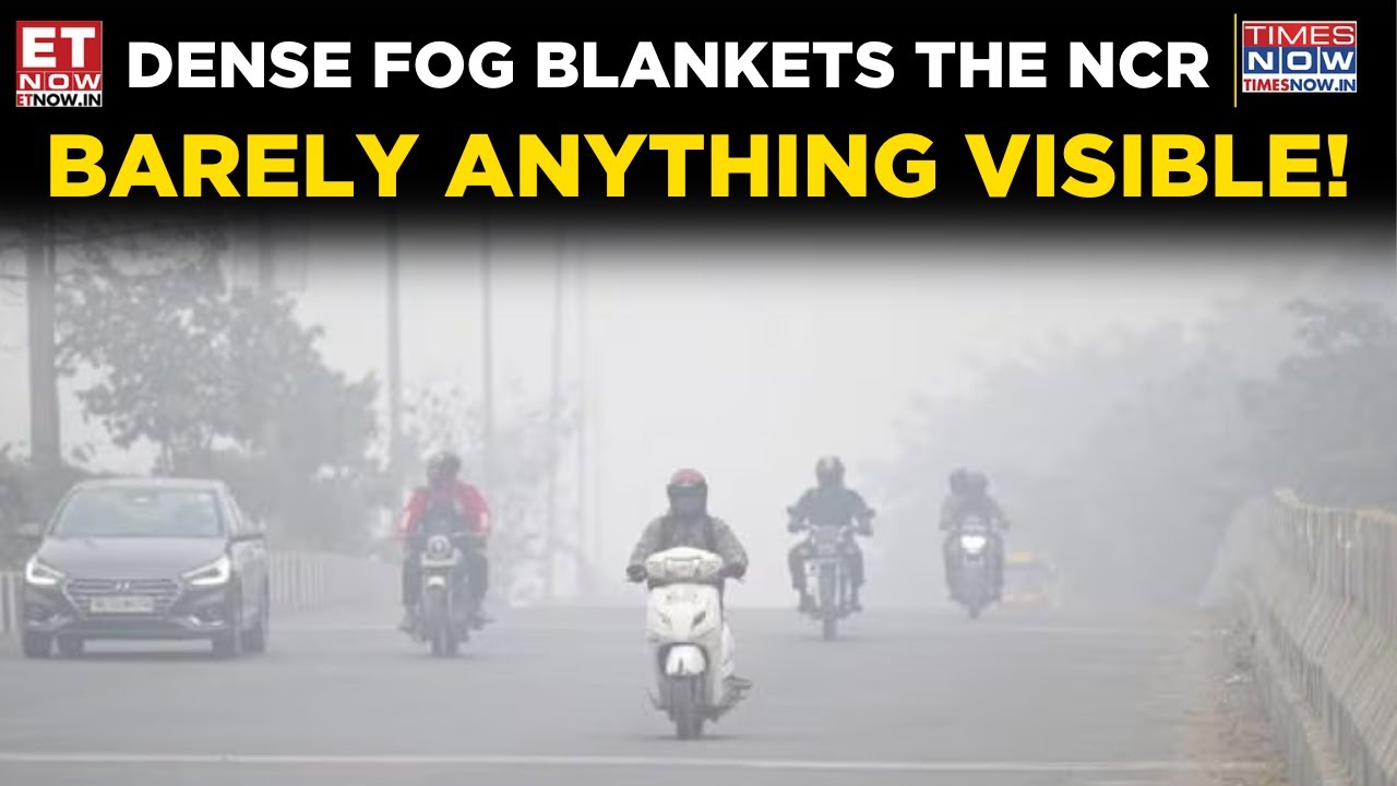 Delhi Weather: Severe Fog in Delhi Disrupts Travel Amid Cold Wave, Visibility Drops to Near Zero