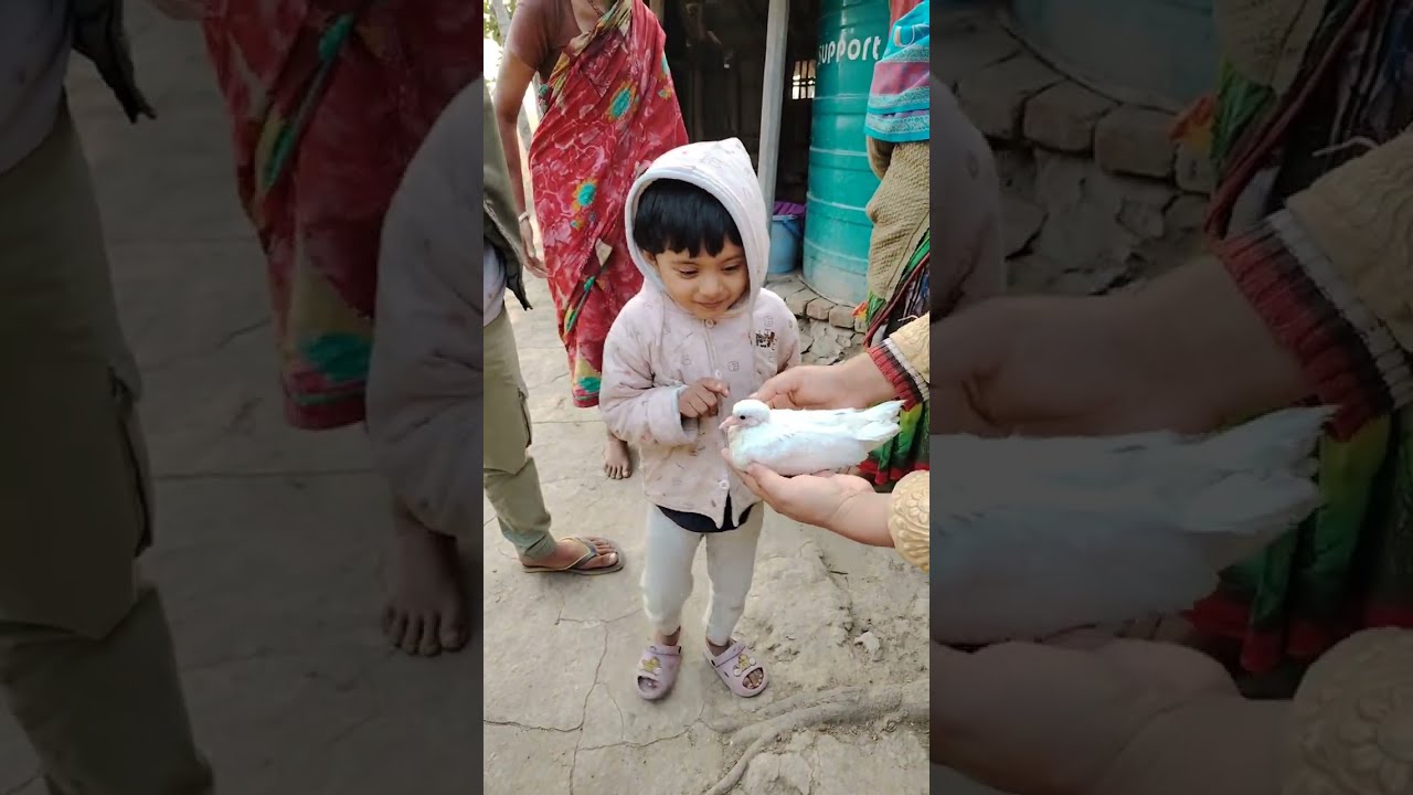 village life❤️❤️❤️ #villagelife #villagevlog #village #video #viralvideo #youtubevideo #love #funny 