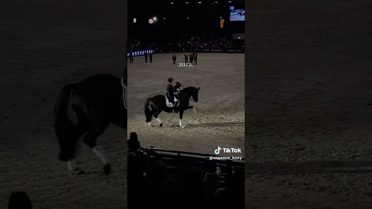 Preferite il dressage o salto?😍