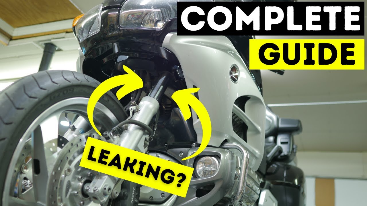COMPLETE Goldwing Fork Seal Replacement