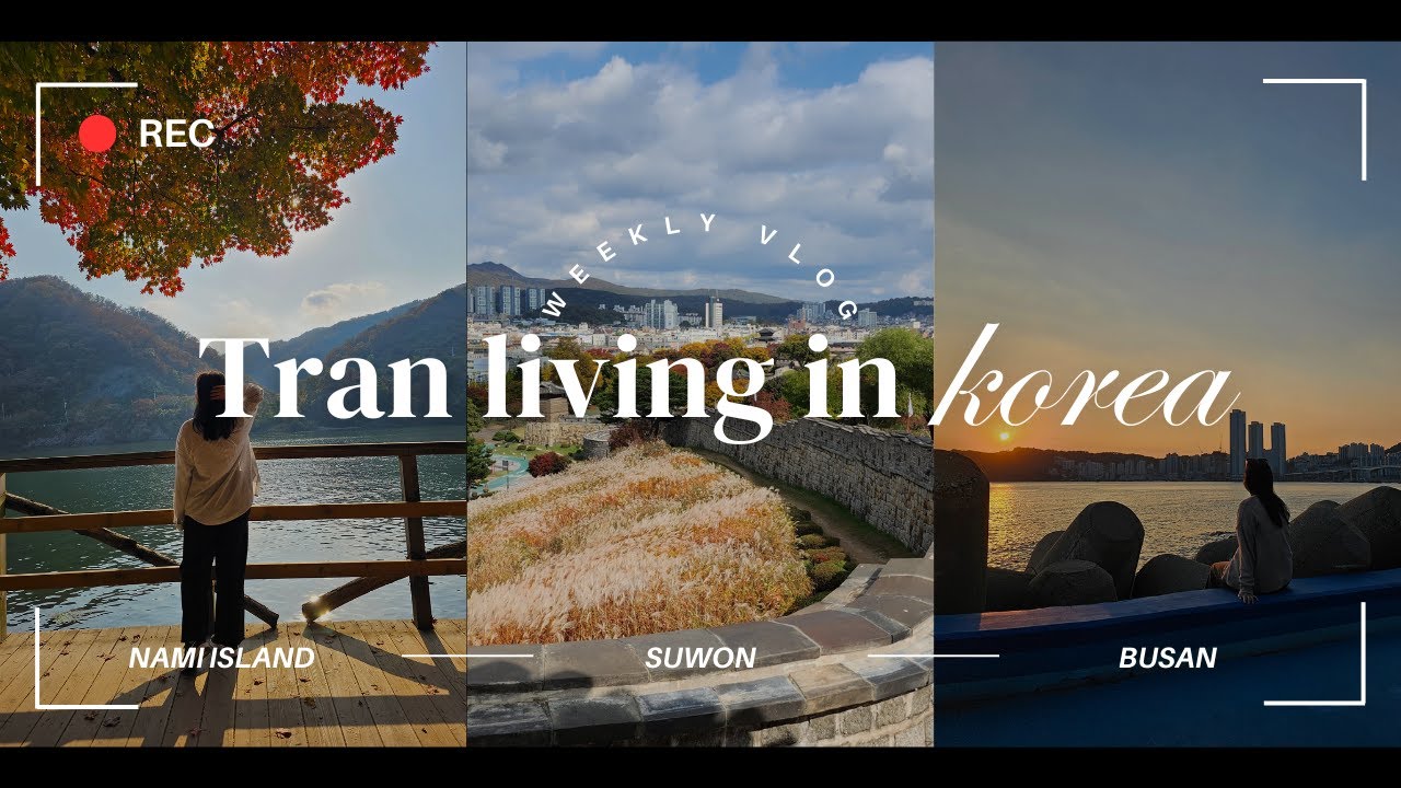 [🇰🇷] Nami Island, Suwon & back to Busan