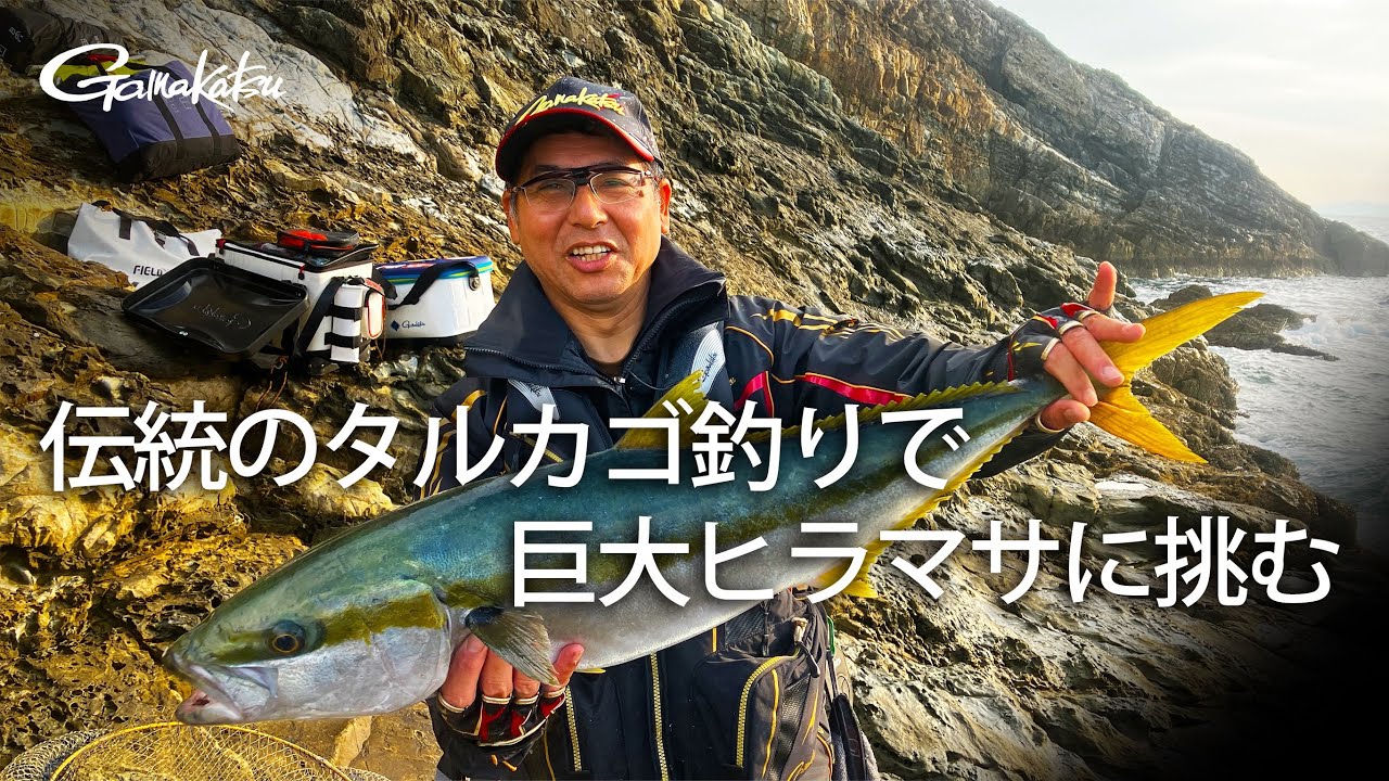 島根県大社 伝統のタルカゴ釣りで巨大ヒラマサに挑む【カゴ釣り】【ヒラマサ】【G WORLD #37】
