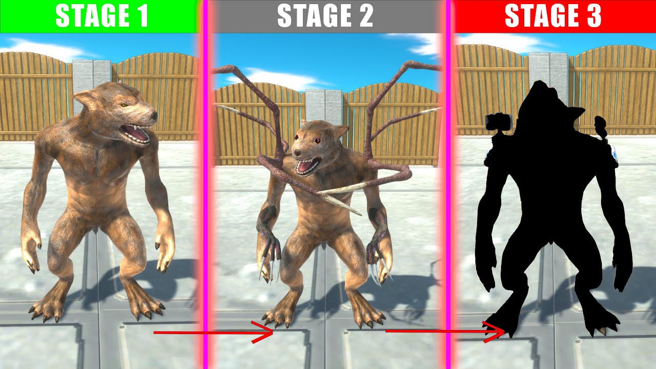 EVOLUTION OF WEREWOLF - Animal Revolt Battle Simulator ARBS