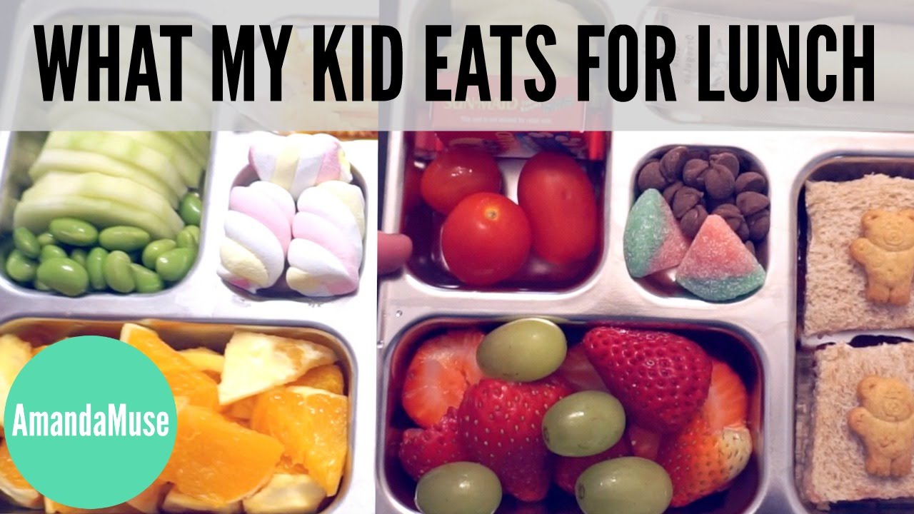 Kids LUNCH IDEAS + PlanetBox Review | AmandaMuse
