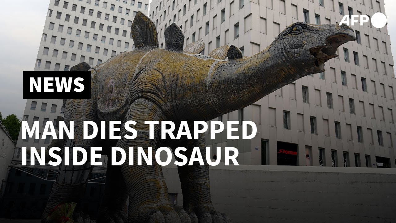 Man dies trapped inside a dinosaur statue in Spain | AFP