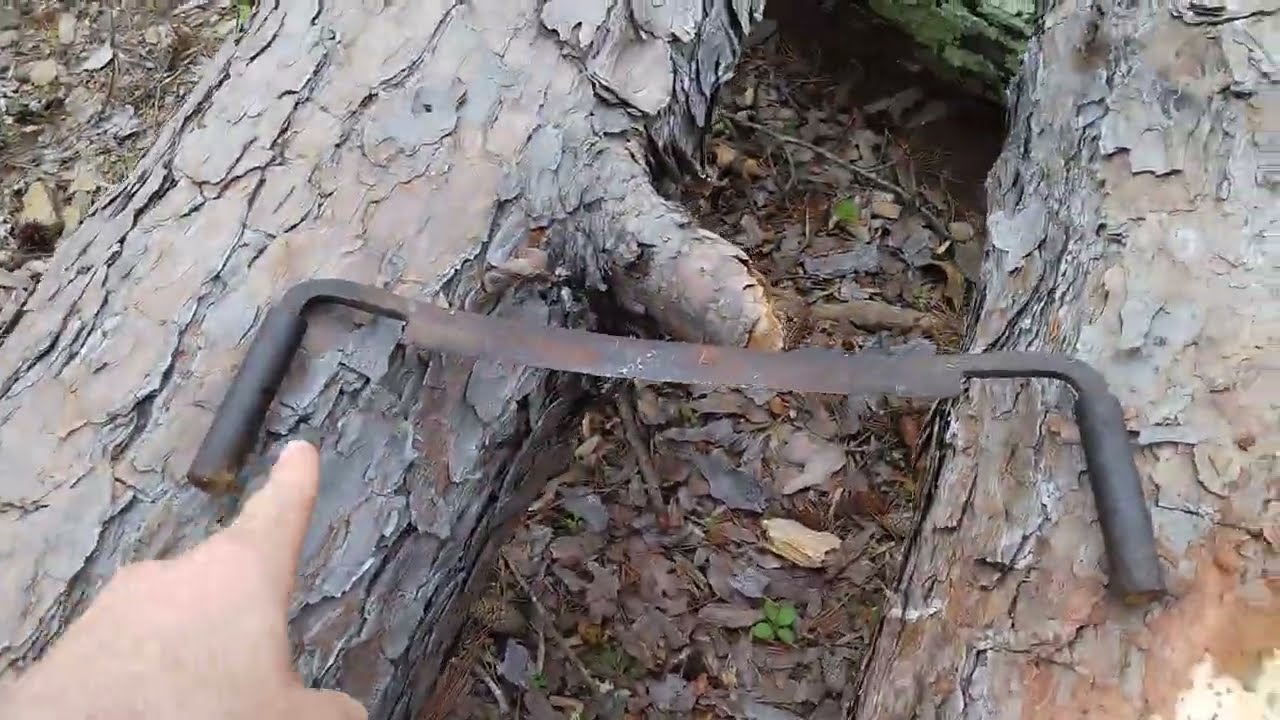 how to dry pine logs for roundwood timber framing in 2023 (updated)