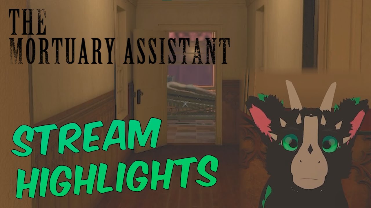 CD's Bizzare Mortuary Assistant Adventure (Stream Highlights Part 1)