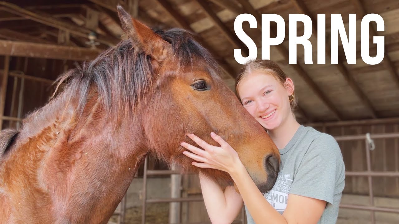 Beautiful Spring days on a Small Farm