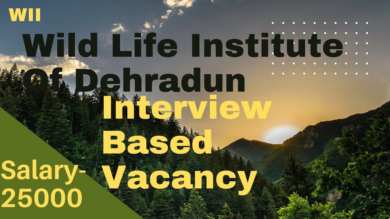 #WII wildlife institute of dehradun interview based vacancy