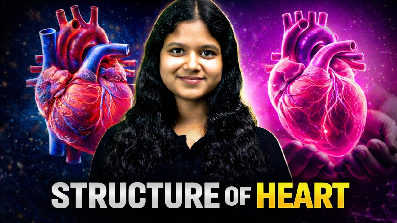 Structure of Heart Rapid Revision in 2 Minutes | CBSE Class 10 Biology | Twinkle Ma'am