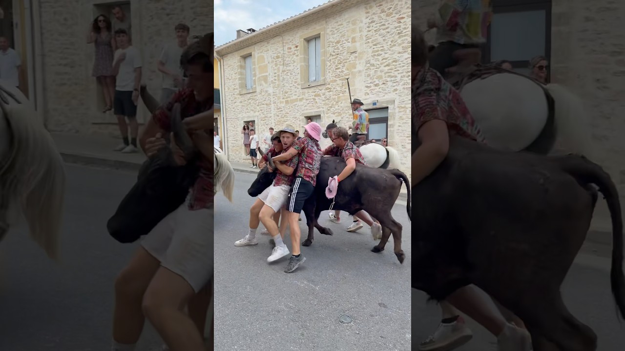 Attrapa&iuml;re Aubais