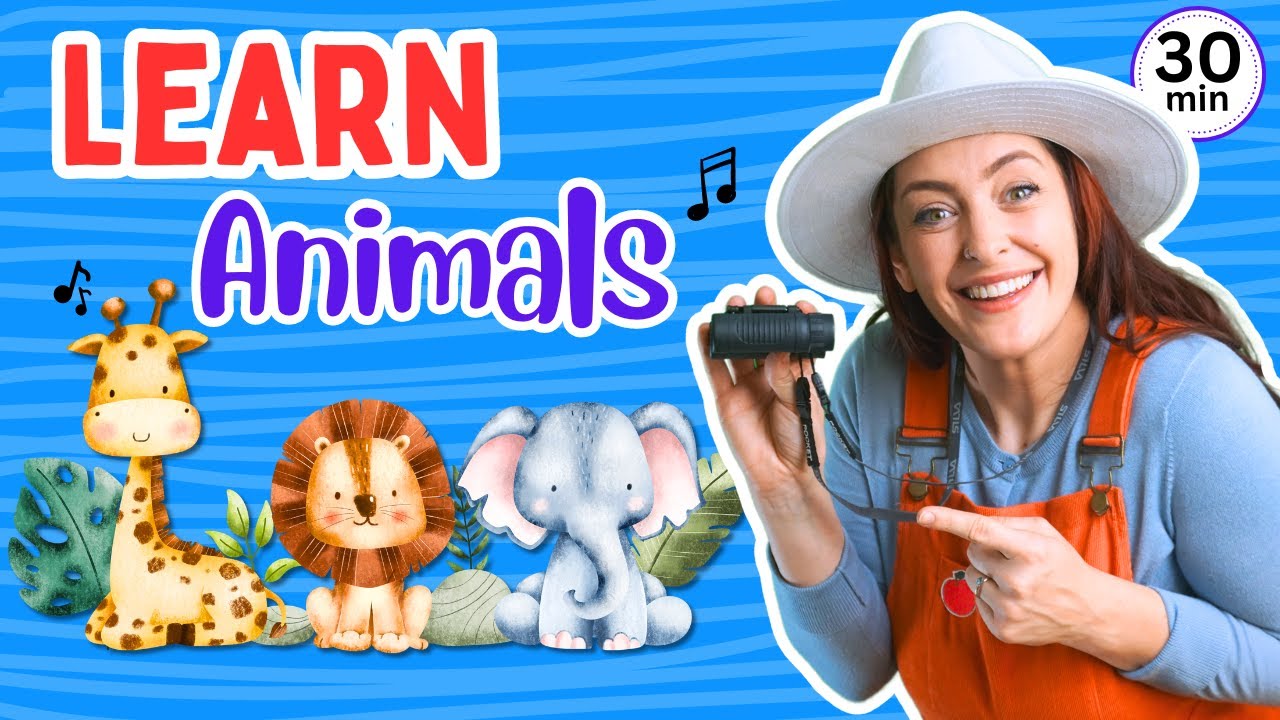 Learn Animals | Names & Sounds | Zoo Safari | Kids Songs | Toddler Learning Video | Phonics & Signs