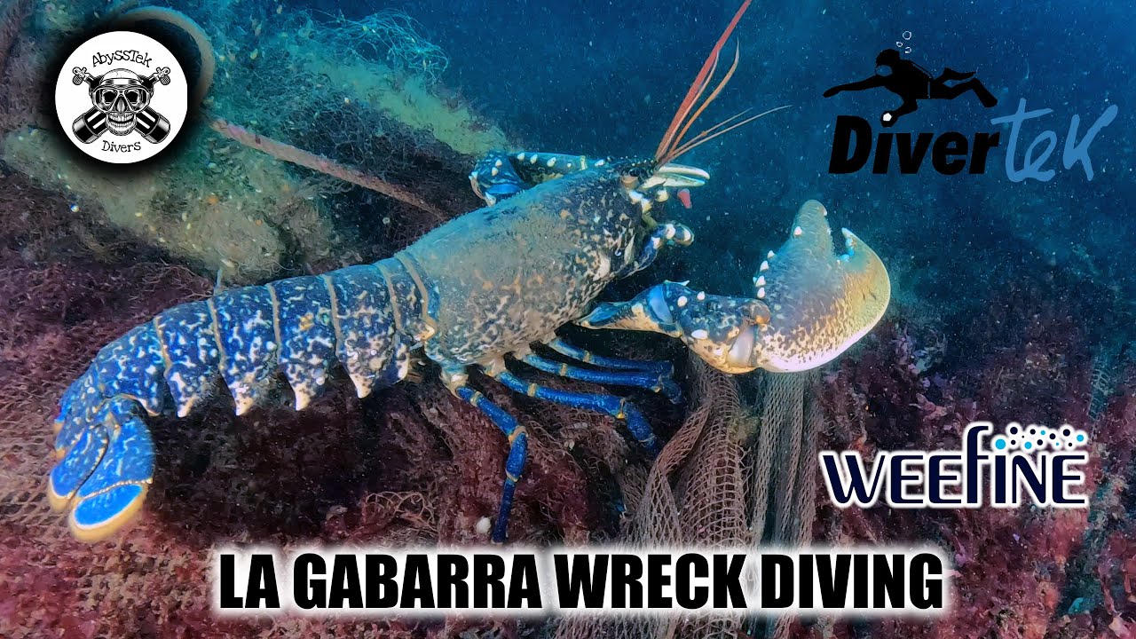 LA GABARRA WRECK DIVING WITH WEEFINE WF081 (7000 lumens)