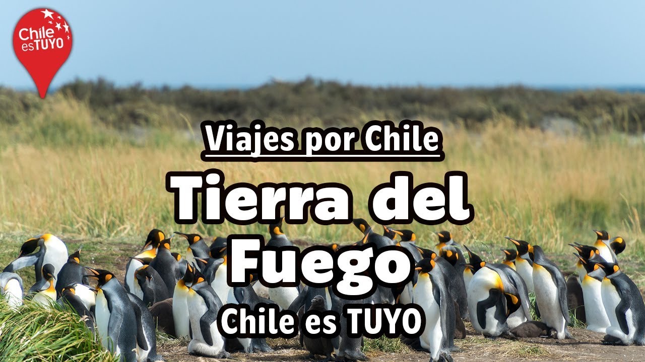 Viajes por Chile: Tierra del Fuego - Chile es TUYO