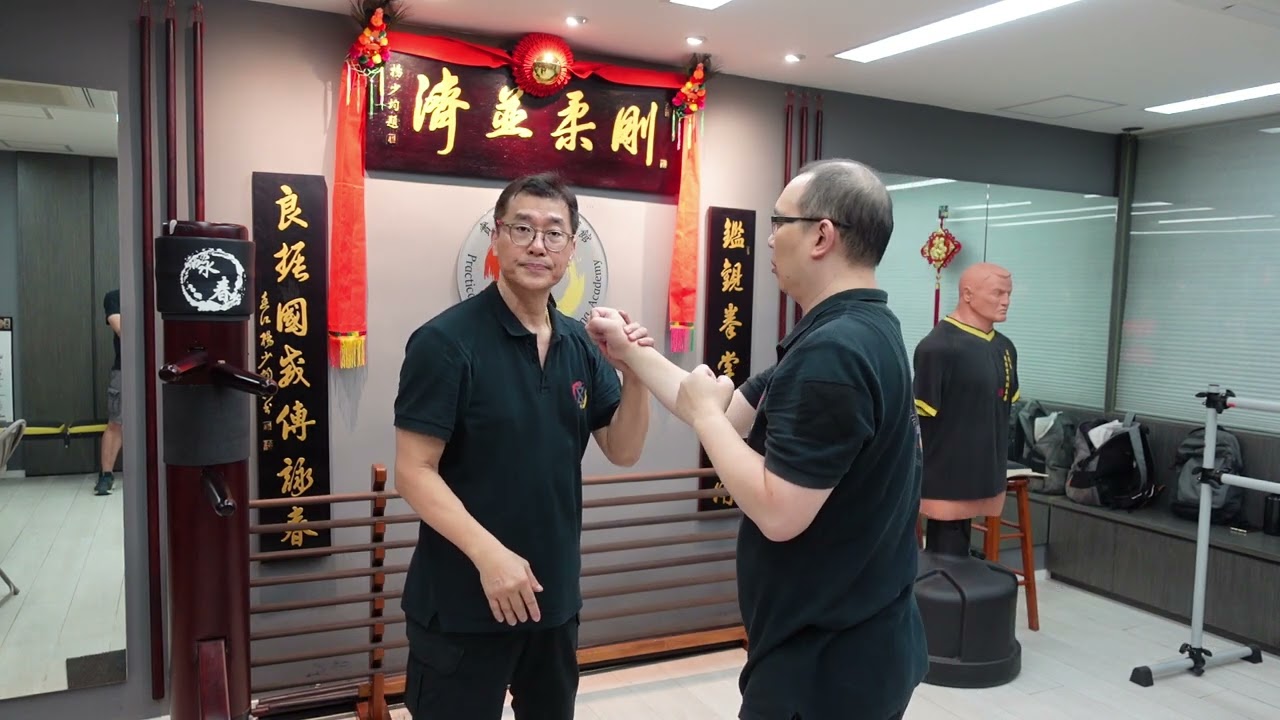 Wing Chun SLT Cross hand blocking skill