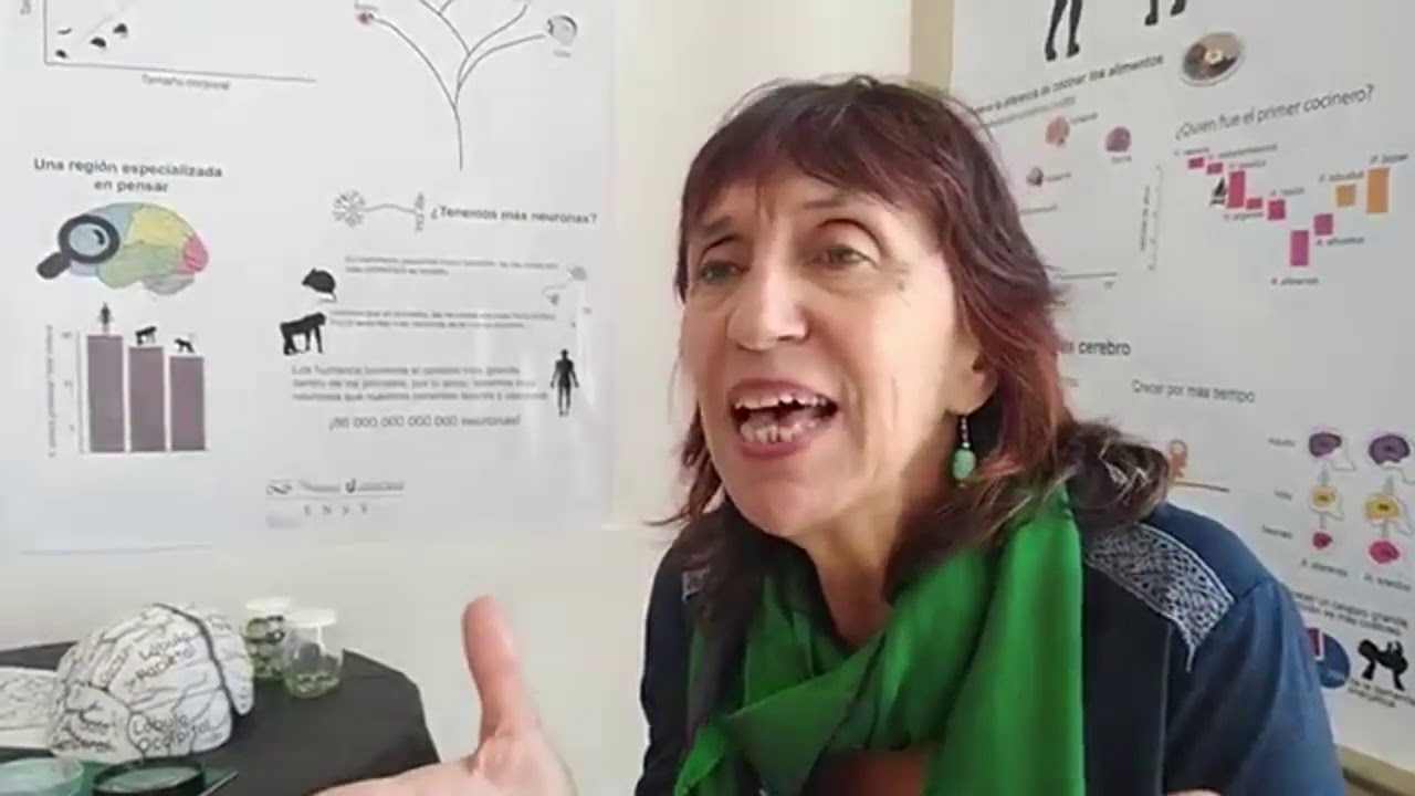 Semana del Cerebro 2019 entrevista a Silvia Kochen Parte 1