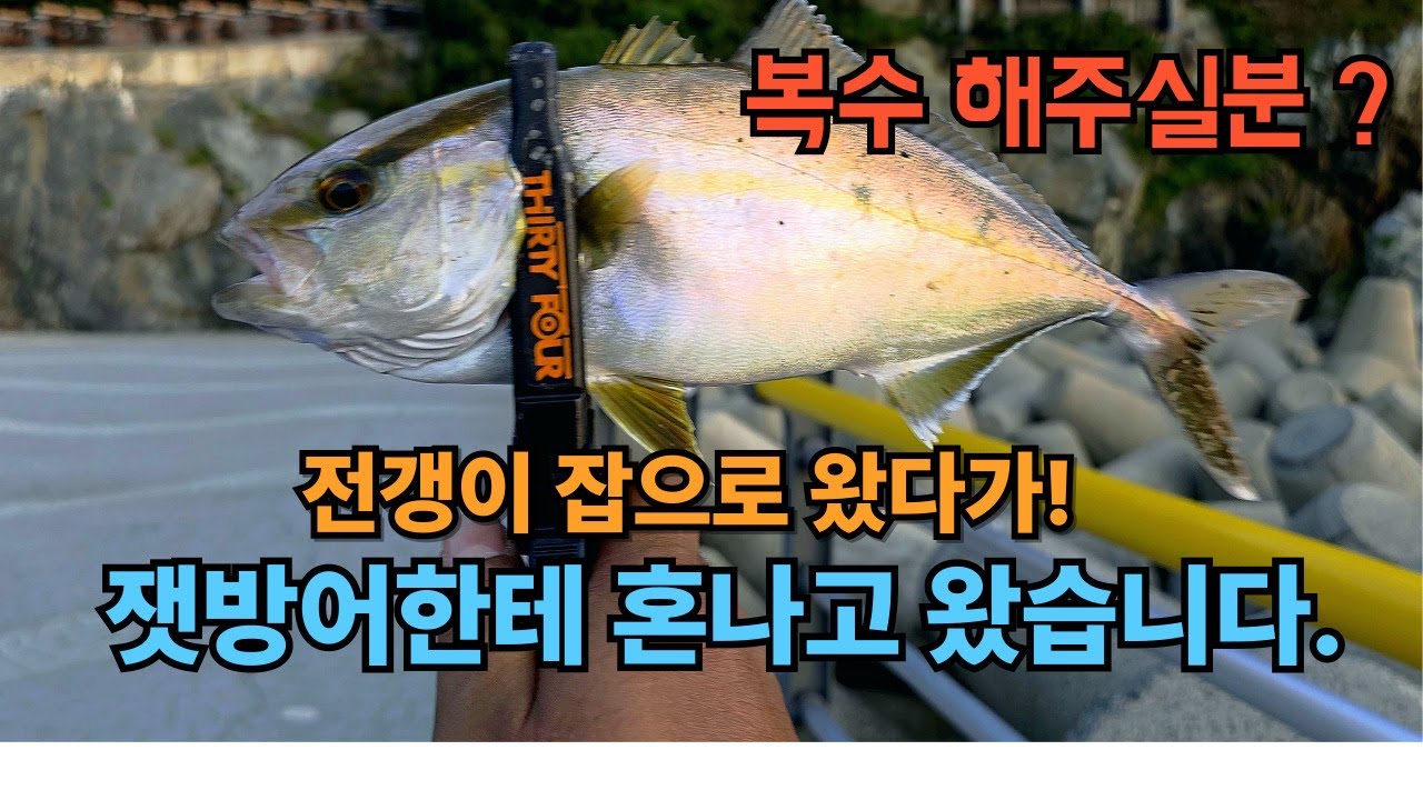 전갱이낚시.75 우도 지심도 매물도 전갱이 찾아다니다가~ 잿방어한테 농락당했습니다.#낚시 #아징 #fishing #전갱이루어 #고등어 
