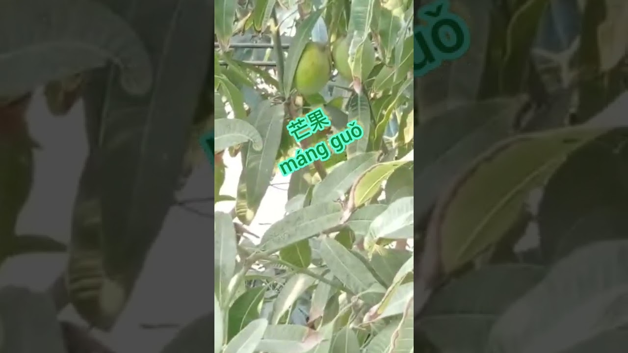 المناظر الطبيعية بالصينية 😍
