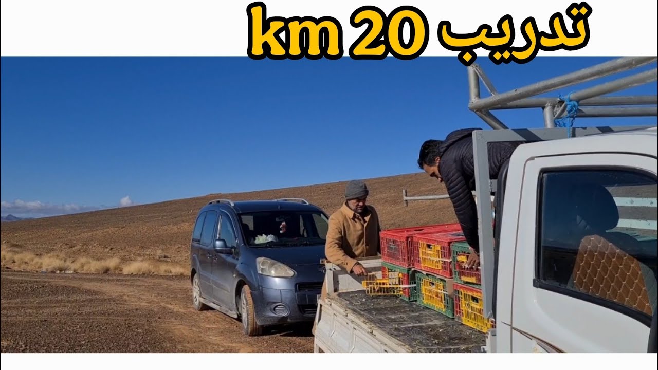 تدريب 20 كلم الحمام الزاجل و تعديلات في السجنة مع انتاج الحمام الخينيسي
