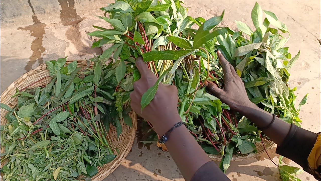 cooking cassava leaves with beef😋😋