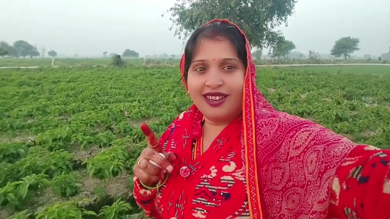 Mere khet hai☘️🏞️🌱🌿