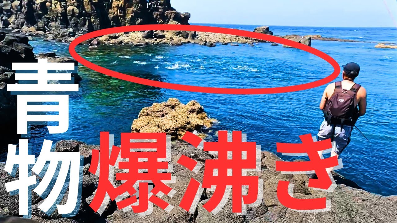 【衝撃】その無人島は大型青物の楽園だった…