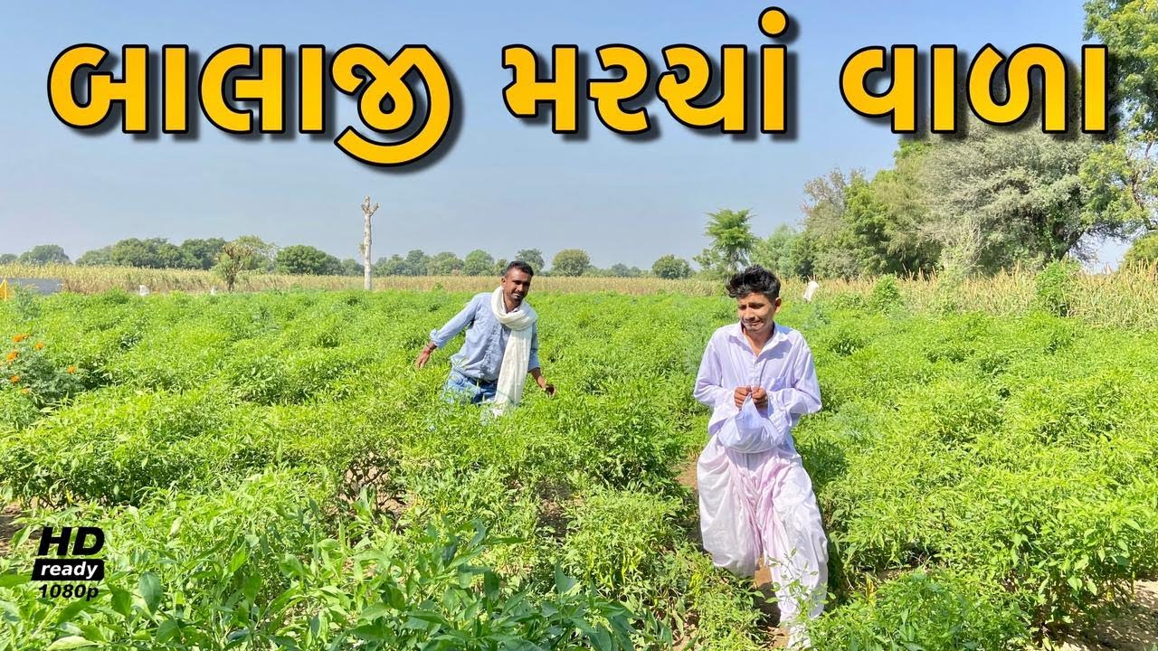 બાલાજી મરચા વાળા | Balaji Marcha Vada | Desi Comedy Video | #AmazingWildBoys