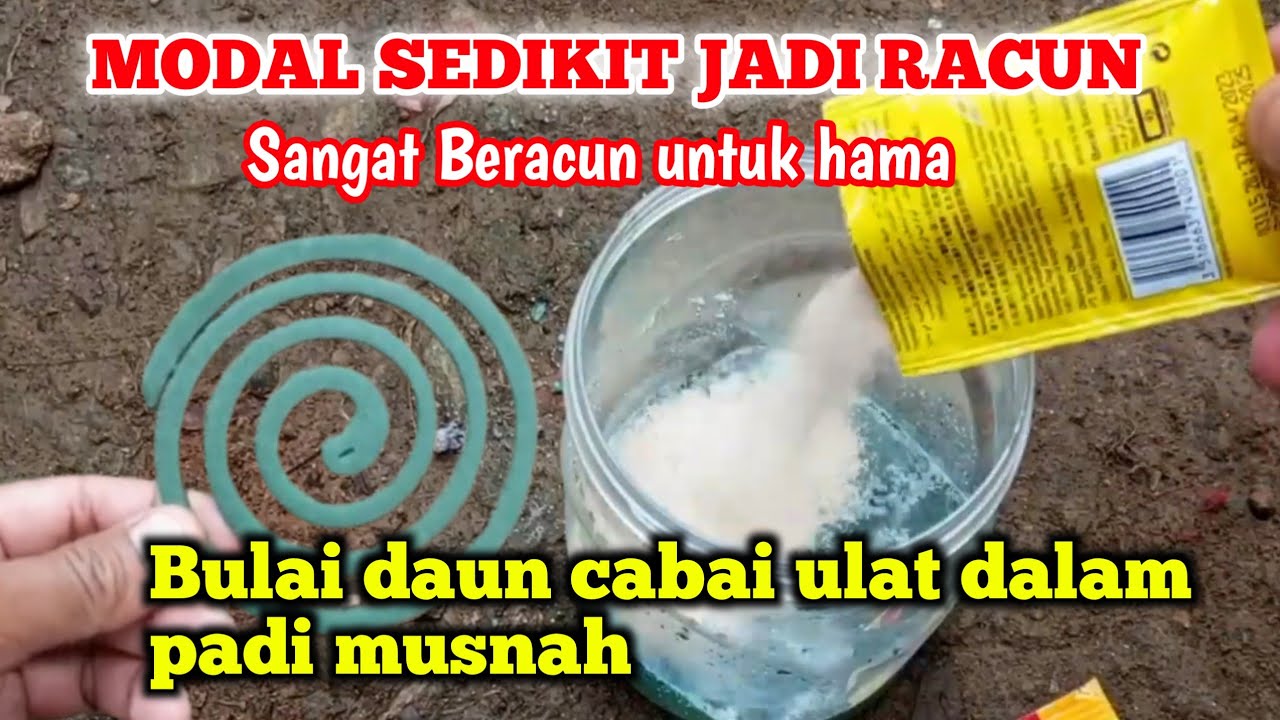 MODAL SEDIKIT Hama musnah Cepat racik bahan ini