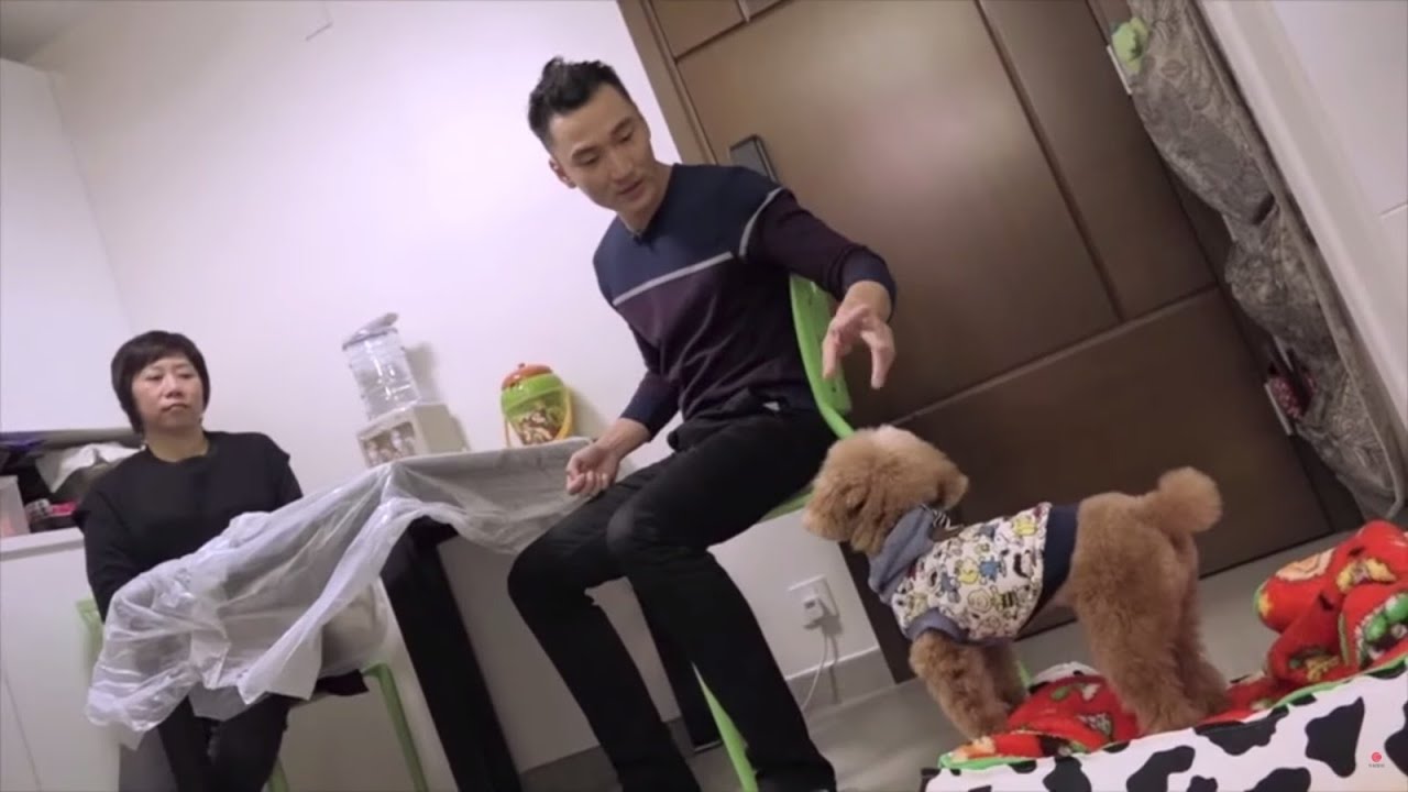 貴婦狗有少爺脾氣呼喝工人 煉狗術師 Eric Ko 教主人搬狗竇、餵食同口令導正狗仔怪行為(寵物狗救星 - 超級馴犬師 EP05-2)