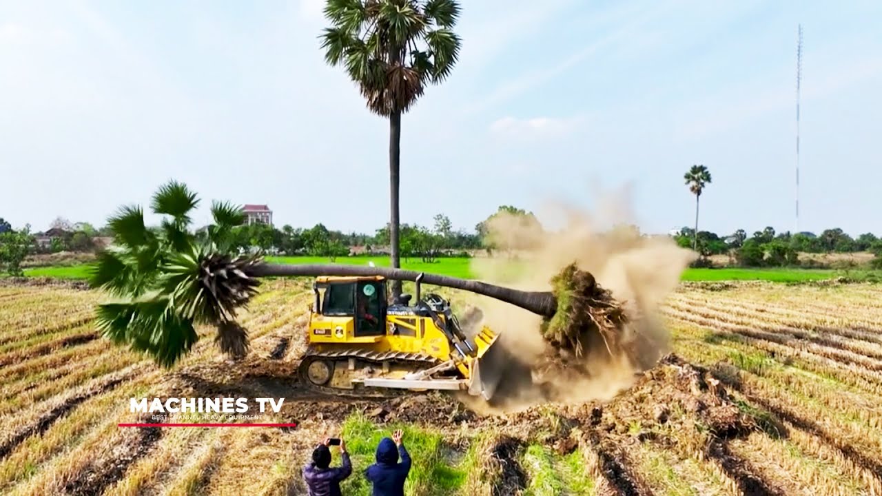 WOW! OMG!! Unexpected Bulldozer Gone Wrong Land Filling Up SHANTUI Bulldozer & 25 Ton Truck