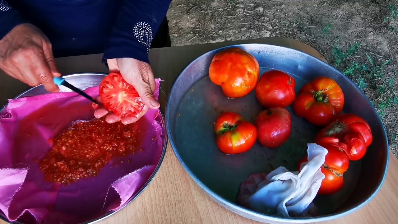 Köyde Domates Tohumu Nasıl Alınır Ata Tohumu