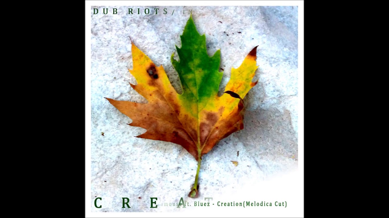 Dub Riots & Indamouse - Creation