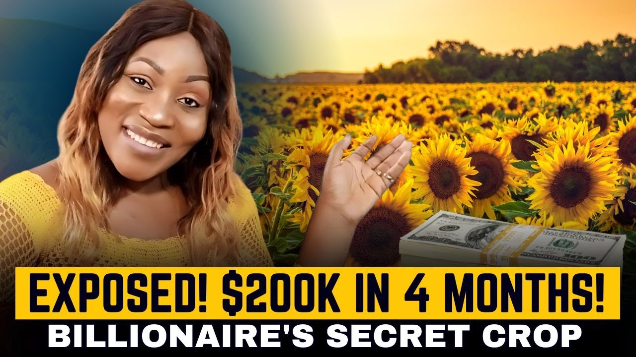 Exposed! Why African Billionaires Are Quietly Buying Sunflower Farms