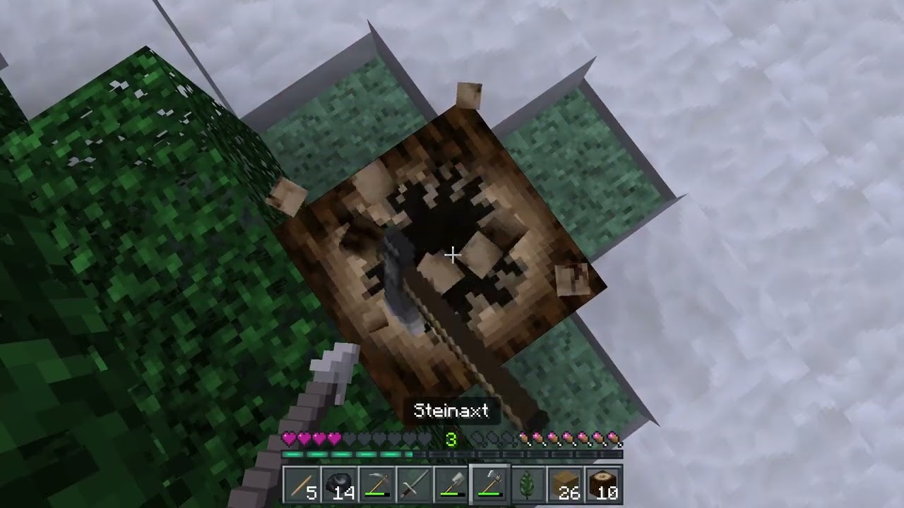 Ich habe ein Freund gefunden! Let,s Play Minchraft 