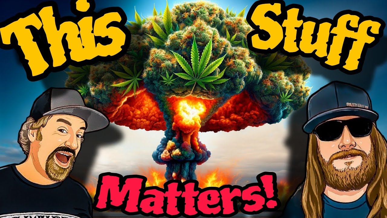 Maximize Cannabis Yield With Growing Mediums for Top Shelf Results