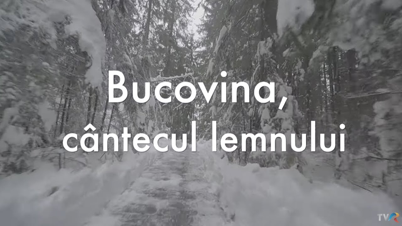 Exclusiv în România: Bucovina, cântecul lemnului (@TVR1)