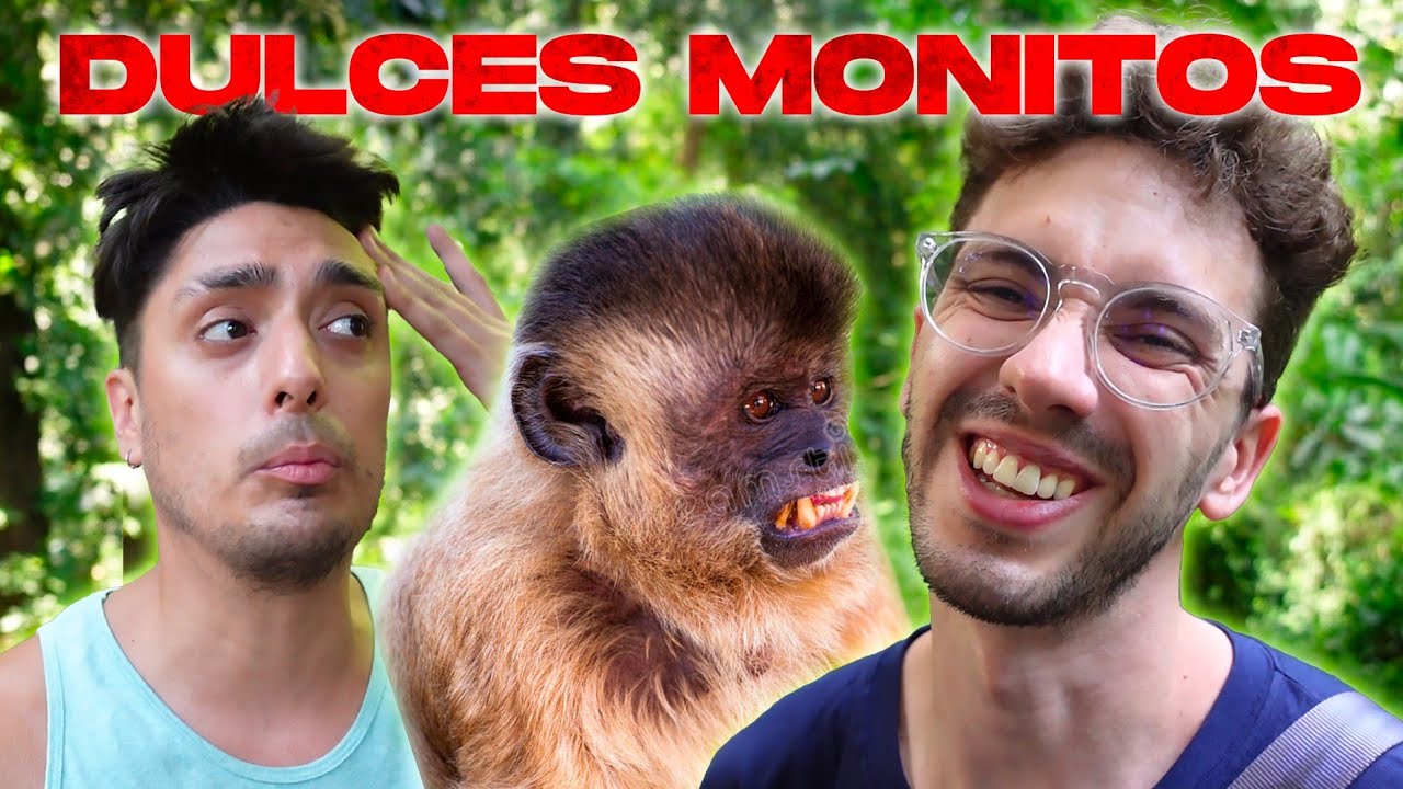 BUSCANDO MONITOS POR LA SELVA 🐒