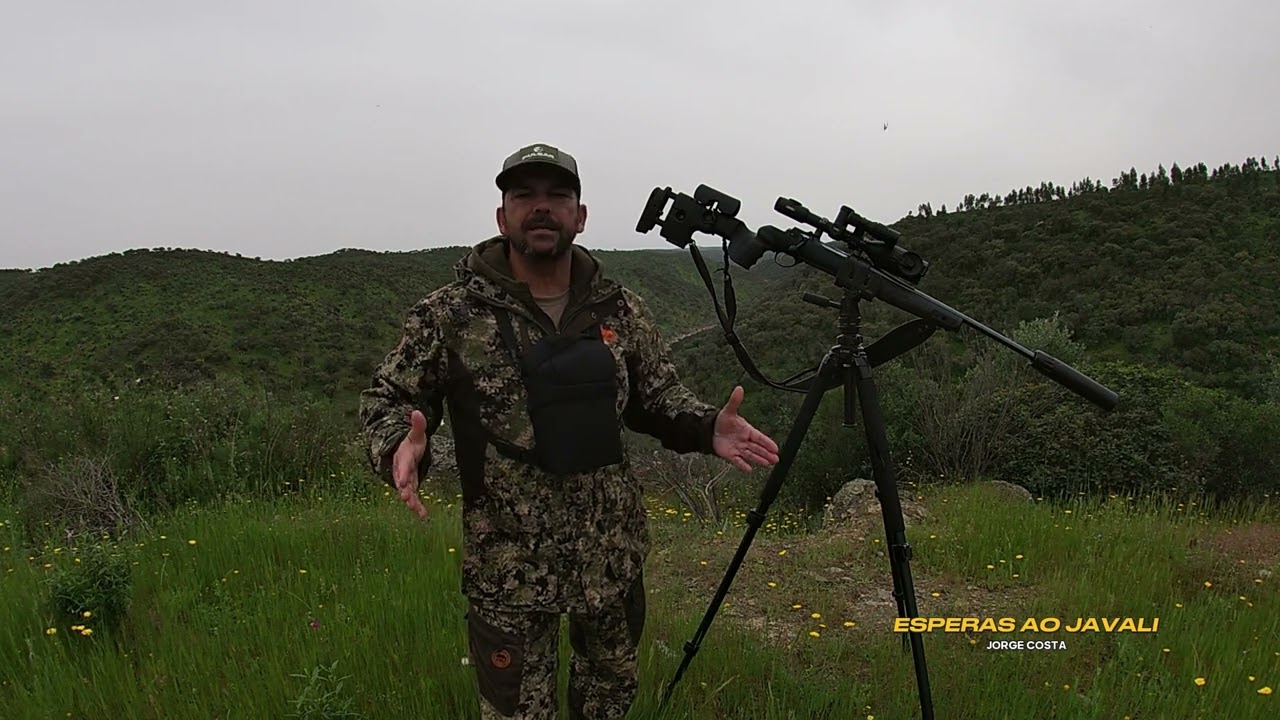 ESPERAS AOS JAVALIS 2024 # CAZA EN AGUARDO # HUNTING BOAR.