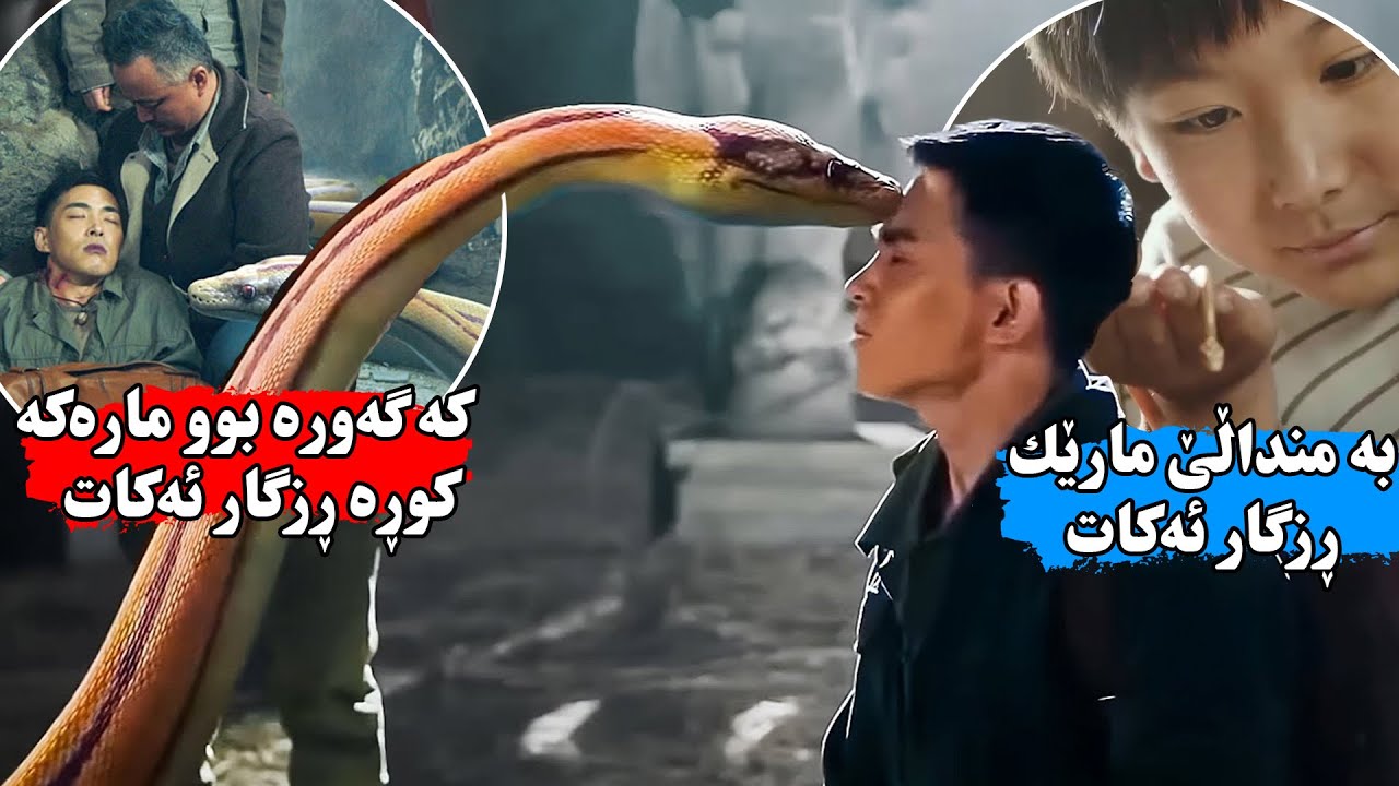كوڕێك مارێك لە مردن ڕزگار ئەكات و دوای ۱۰ ساڵ مارەكە ئەیبنێتەوە و لەدەستی گەورەی مارەكان ئەیپارێزێت