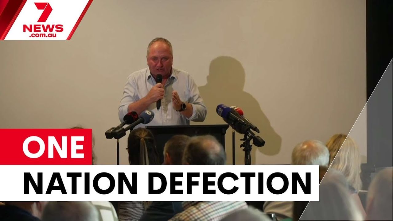 Joyce claims opposition MPs eyeing One Nation defection | 7NEWS