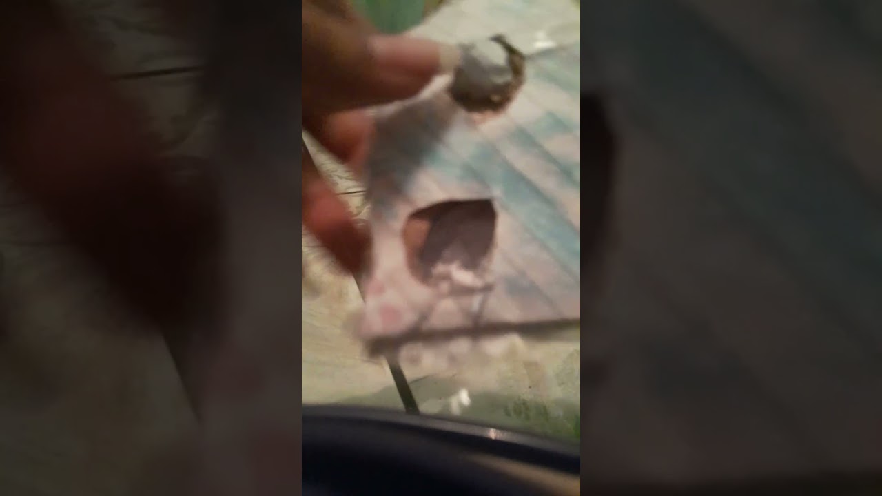 como fazer um pop it  caseiro em casa!veja esse vídeo e faça na sua casa se quiser!,pt2